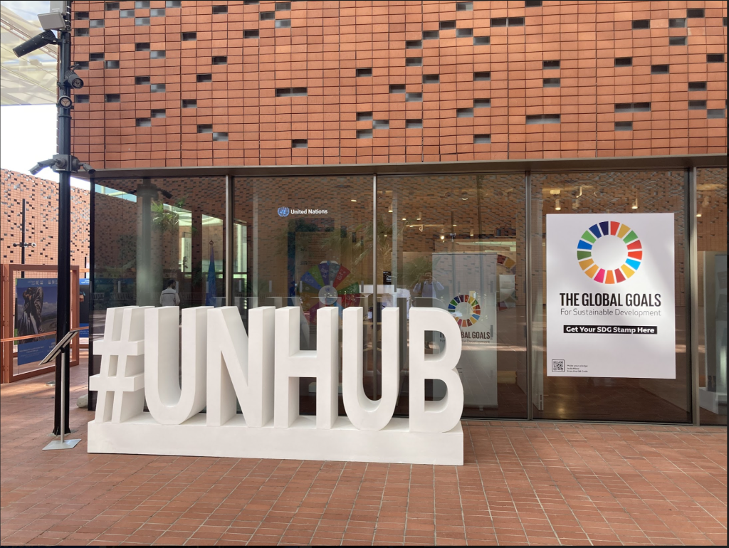 Creative Resilience au UNHUB Dubaï